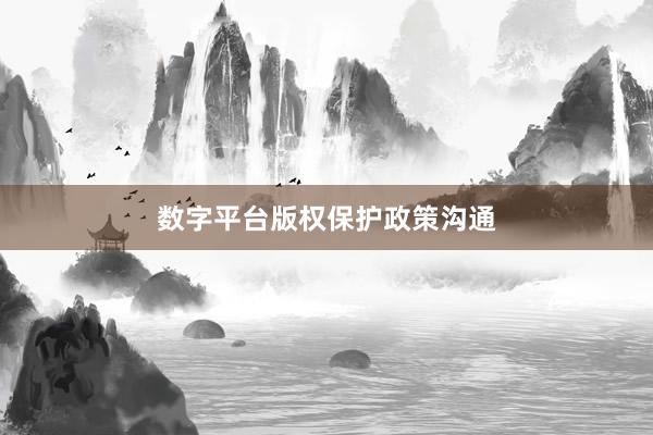 数字平台版权保护政策沟通