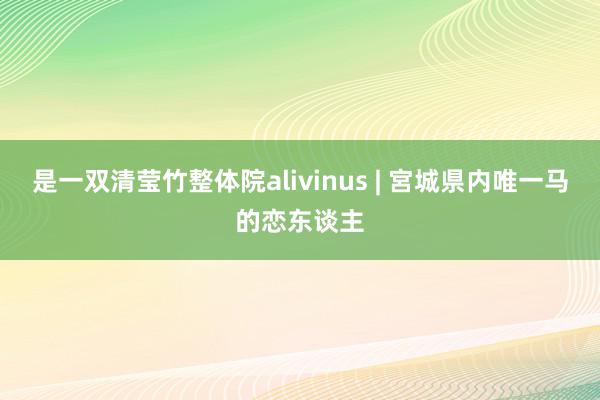 是一双清莹竹整体院alivinus | 宮城県内唯一马的恋东谈主
